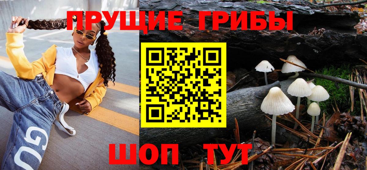 Псилоцибиновые грибы Psilocybine cubensis  Вход с VPN  Ижевск 