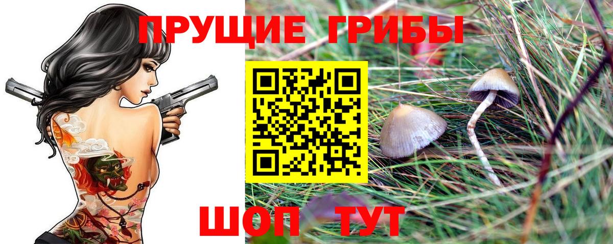 Псилоцибиновые грибы мухоморы Ижевск